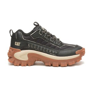 Men's Caterpillar Eco Intruder Sneakers Black | 310874-TKG