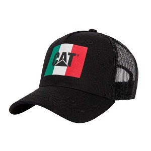 Men's Caterpillar Flag Caps Black | 478165-AMF