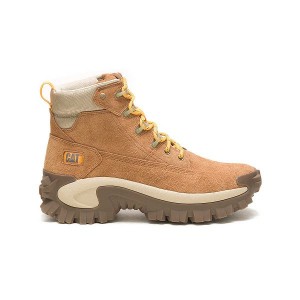 Men's Caterpillar Intruder Ply Boots Brown | 257981-DYQ