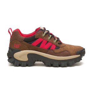 Women's Caterpillar Intruder Beta Sneakers Brown | 842195-HUF