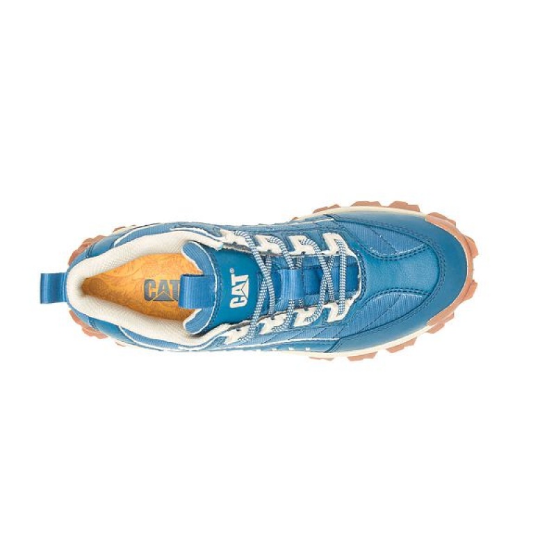 Men's Caterpillar Eco Intruder Sneakers Blue | 972350-XZY