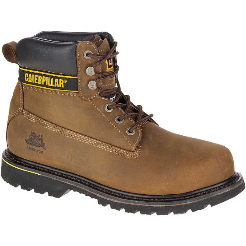 Men's Caterpillar Holton Steel Toe S3 HRO SRC Work Boots Dark / Brown | 249760-YJN