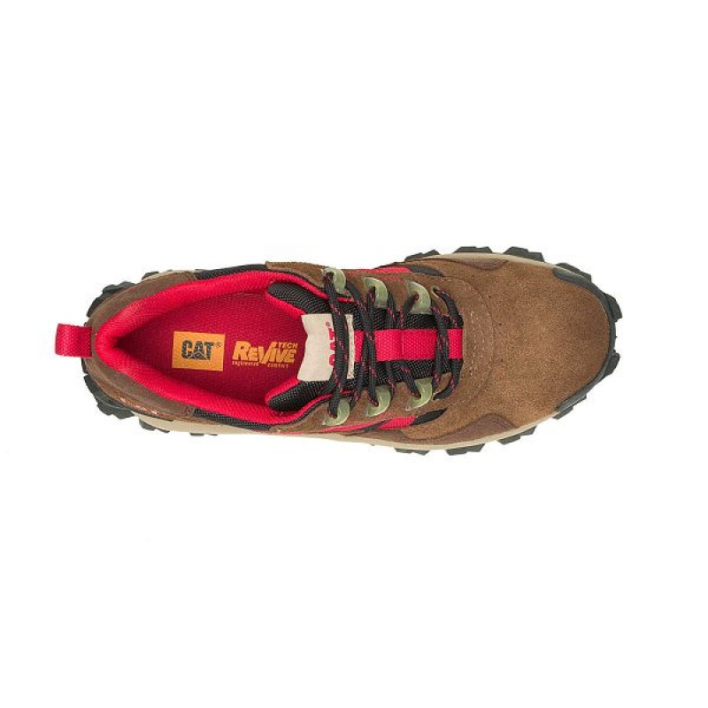 Men's Caterpillar Intruder Beta Sneakers Brown | 704583-DAU