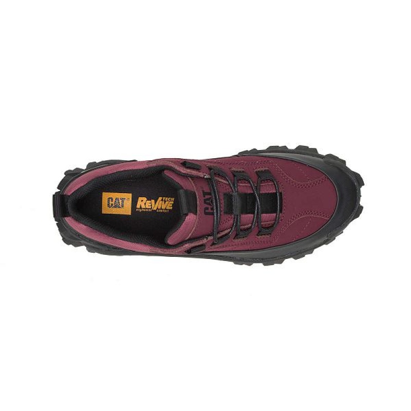 Men's Caterpillar Intruder Waterproof Galosh Sneakers Black / Burgundy | 235708-ELC