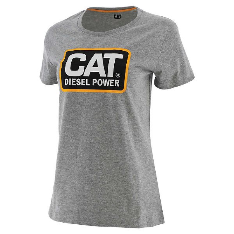 Women\'s Caterpillar Diesel Power Tee T-Shirt Grey | 216038-NIO