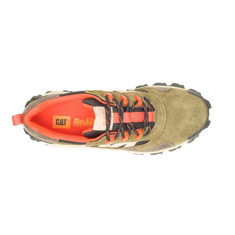 Women's Caterpillar Intruder Beta Sneakers Dark / Olive | 526874-AZG